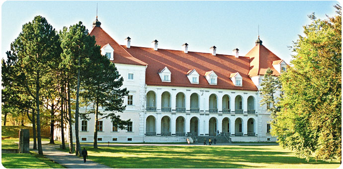 birzai1.jpg (107402 bytes)